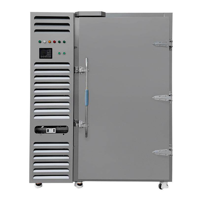 哇超低温新加坡出海大型商用款冷藏冷冻保鲜速冻柜噢海产品速冻
