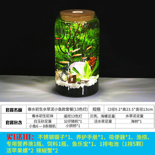 高脚杯生态瓶打理免换水鱼微景观科学用diy作业办公桌面造景鱼缸