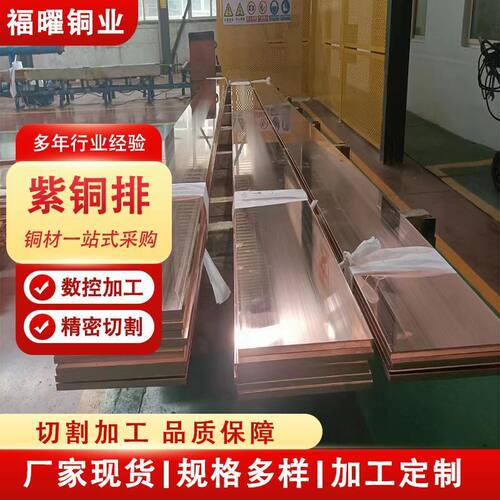 厂家批发t2紫铜排 工业排导电紫铜接地 t1高导机房接地铜排