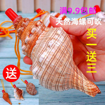 天然海螺号角可吹喇叭口哨超大贝壳哨子哨小螺号能吹响的
