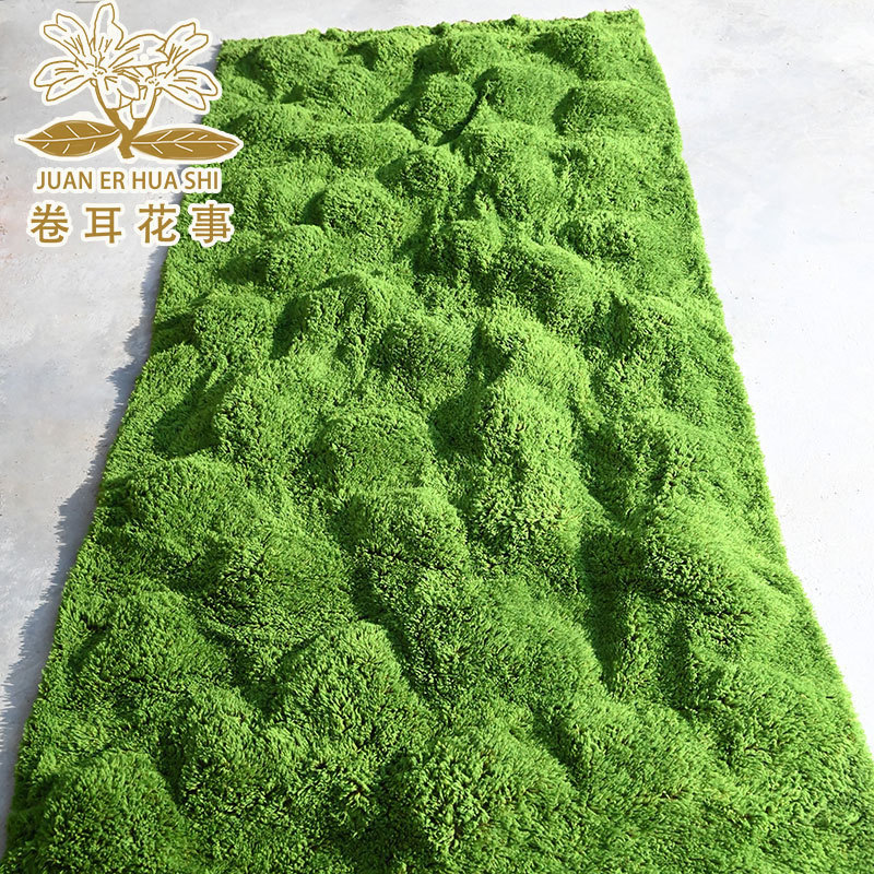 仿真永生苔藓地毯假青苔丝状绿植墙草皮造景白发摆件装饰草坪盆景