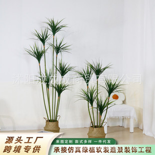 造景盆栽龙血树 饰酒店软装 北欧仿真龙血树 细杆铁树绿植家居装