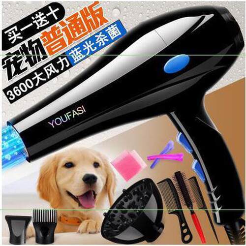 毛大型犬家用大功率狗狗吹风机烘干吹宠物吹水机猫咪洗澡吹干
