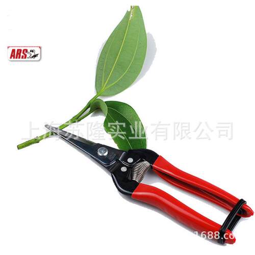 热销爱丽斯ars300l直刃摘果剪修果稀剪剪花果剪园艺剪