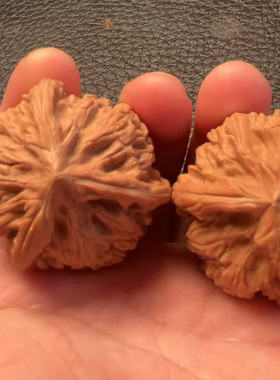 文玩核桃御品种小众龙粗筋三棱天然生长老树果上色快货源直发