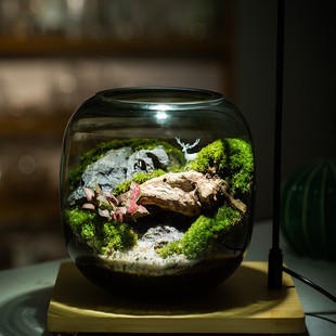 diy植物盆栽青苔藓微景观生态缸成品创意桌面大造景 麋鹿森林