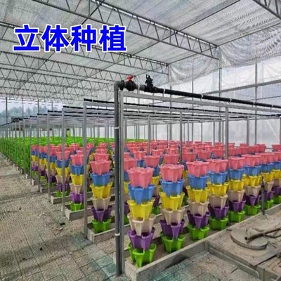 立体栽培多层水培种植盆多层水培架子蔬菜无土栽培花瓣式基质栽培
