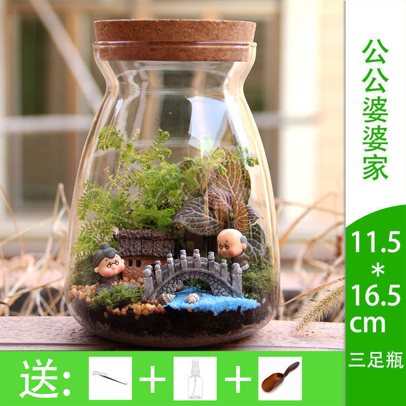 微景观摆件玻璃苔藓绿植物微观组合盆栽生态瓶材料包盆景套装