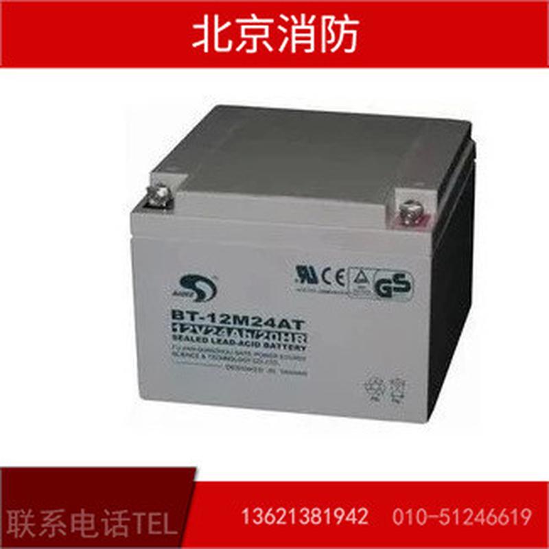 海湾GST500/GST9000主机24AH/12V蓄电池