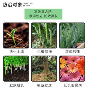 肥料国光雨阳苗木果树草坪花卉促进复混肥生长园林专用植物蓝精灵