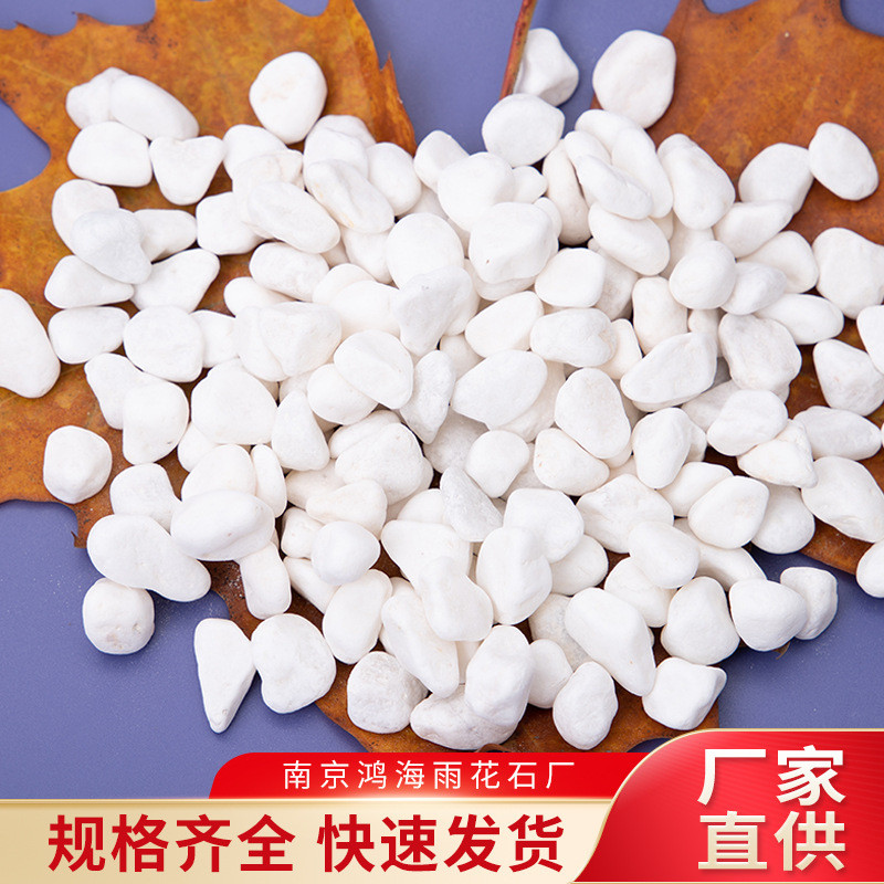 小石子雪花白园艺盆栽多肉白色鹅卵石庭院造景园林铺路机制石头