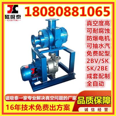 JZJS罗茨水环真空机组实验室真空灭菌水环罗茨真空机组双级罗茨泵