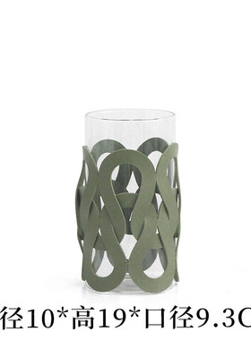 现代轻奢水培桌面玻璃花瓶高级感编织皮革花器餐厅花插样板间摆件