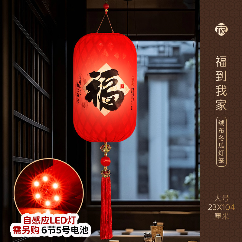 免插电灯笼新款2025大门口一对大红户外阳台挂饰过年新年春节宫灯