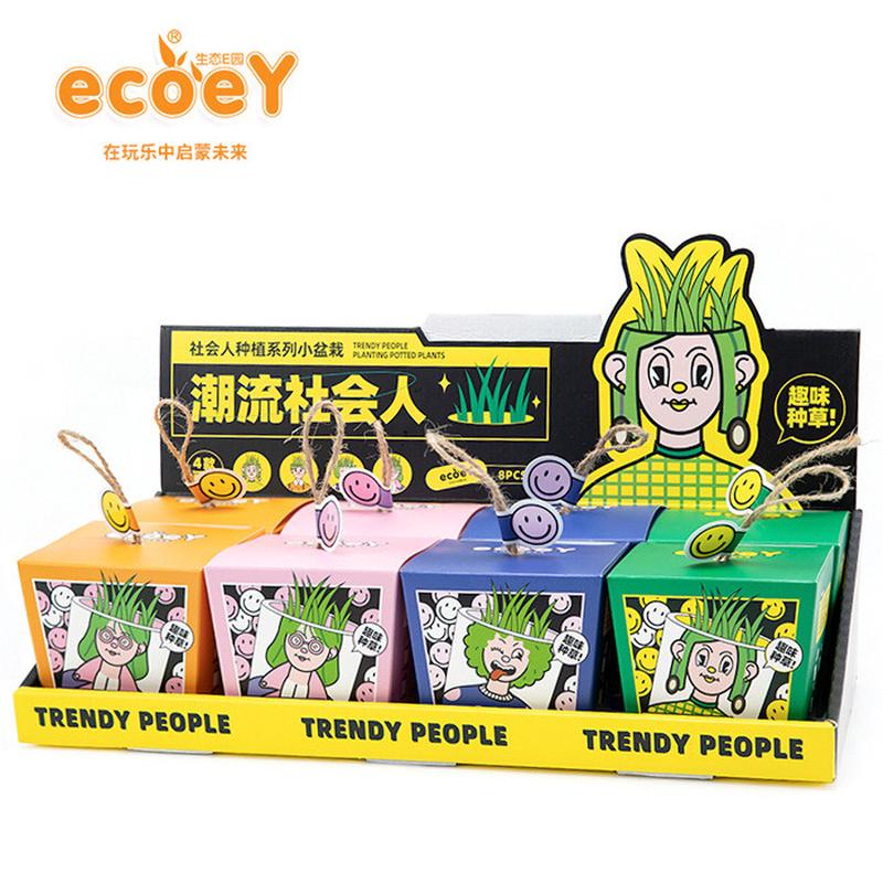 Ecoey小盆栽植物批發(fā)室內(nèi)桌面綠植兒童益智玩具商場(chǎng)超市展示盒裝