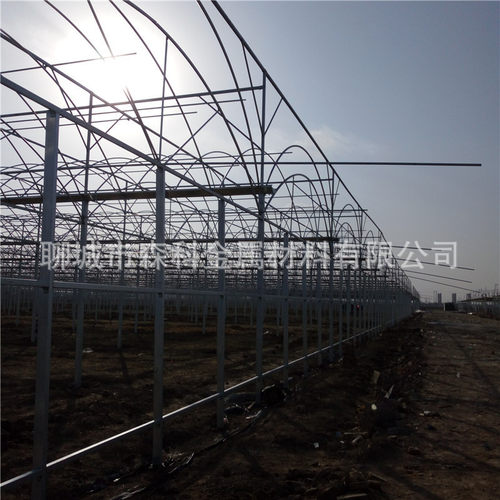 热销农业观光采摘聊城大棚大棚钢管基地旅游大棚建设钢管骨架