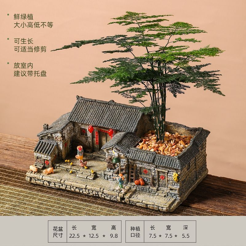多肉植物中式复古老房子花盆造景创意室内微景观小摆件文竹盆景