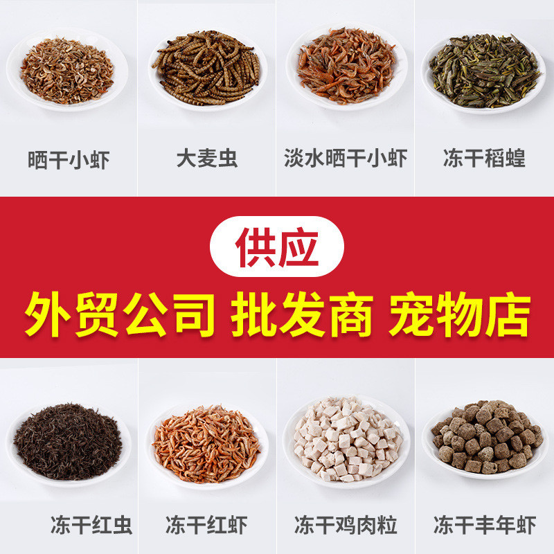 批发面包虫干龟粮仓鼠饲料黄粉虫干饲料鱼饲料1斤装宠物鱼食