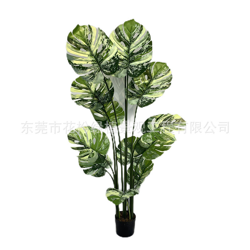 仿真植物盆景龟背叶仿真龟背盆栽绿植摆件龟背竹仿真仿真龟背盆栽