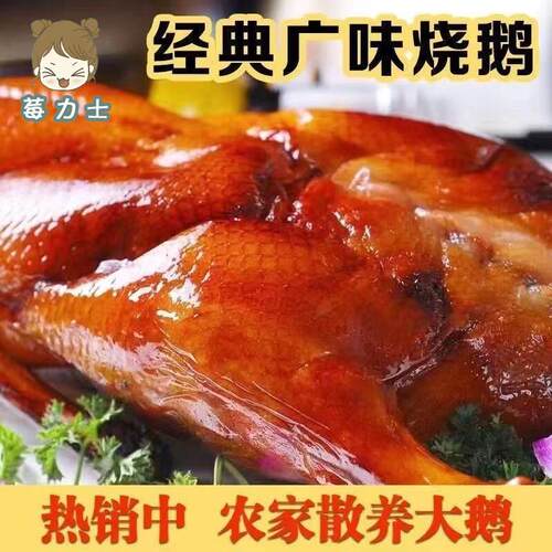 广式烧鹅烧鸡整只真空开袋烤鸭即食卤味小吃熟食下酒菜零食椒麻鸡
