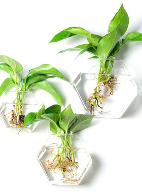 创意壁挂悬挂垂吊水培植物玻璃花瓶透明人工吹制工艺品插花器装饰