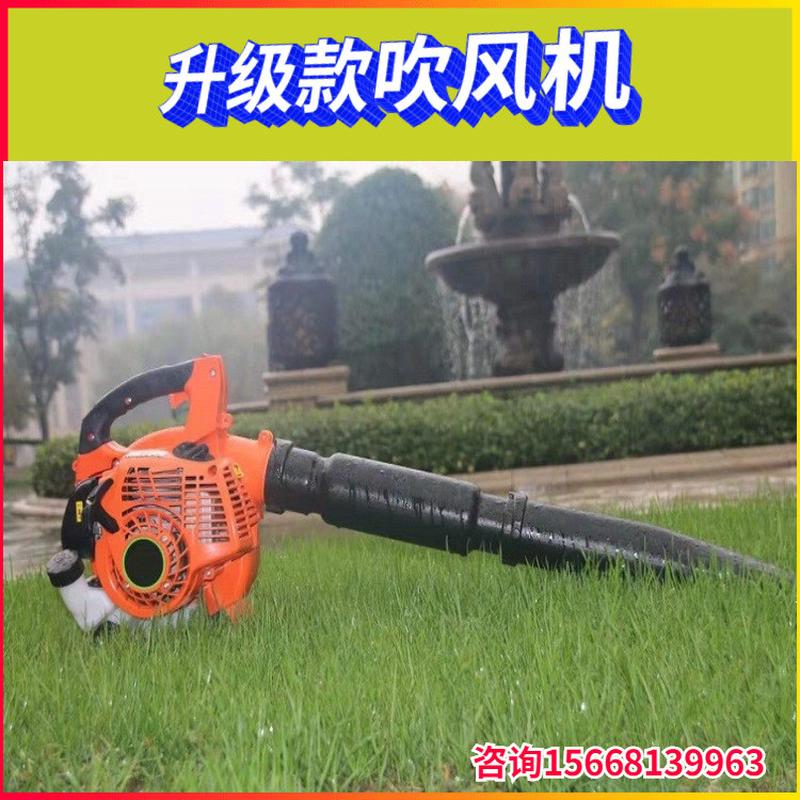 热销EB808风力灭火机大棚屋顶落叶吹风机吹雪机大功率背负式除尘