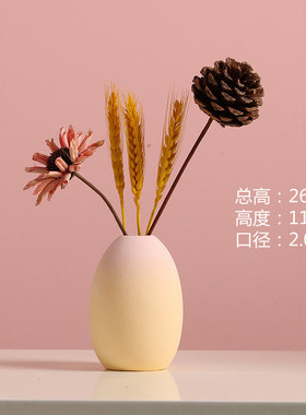 兰迪ins风插花花瓶装饰品客厅小莫干家居摆设民宿桌面花摆件茶几
