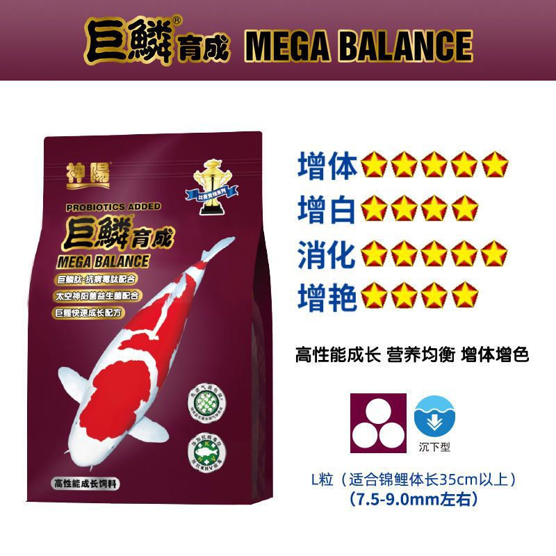 巨鳞锦鲤饲料比赛级锦鲤鱼粮鱼食体增色育成低水温胚芽鱼粮增