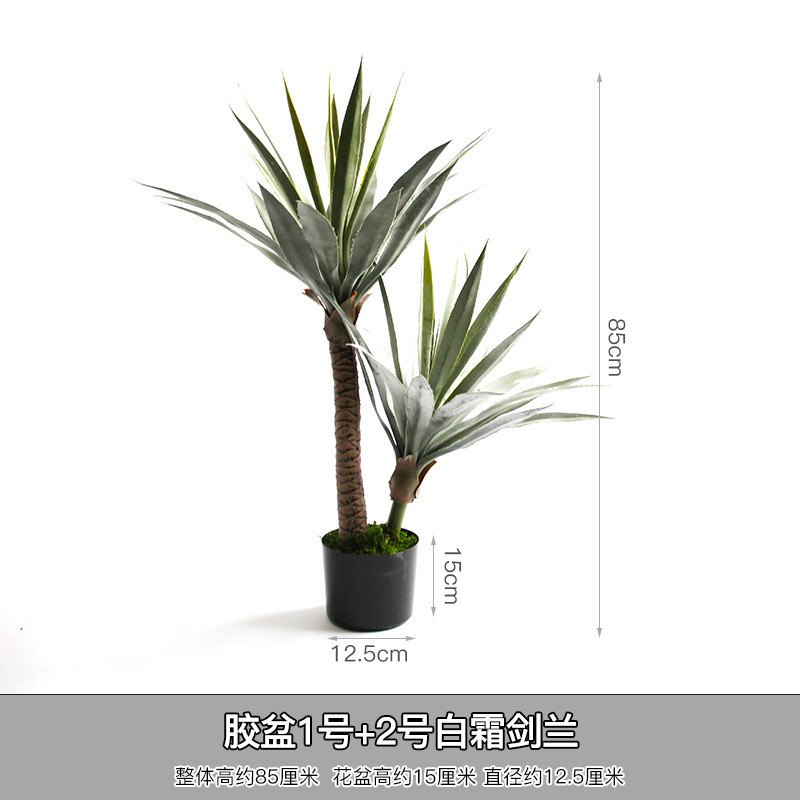 仿真剑兰装饰摆设仙人掌热带沙漠植物假绿植盆景店铺橱窗造景盆栽
