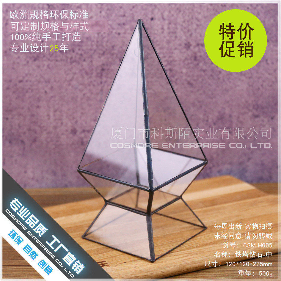 苔藓植物微景观生态瓶盆景室内景观趣味微型桌面创意diy绿植摆件