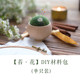 f7de实木底座羊毛毡青苔戳戳乐手工diy材料包批发刺绣小雏菊针插