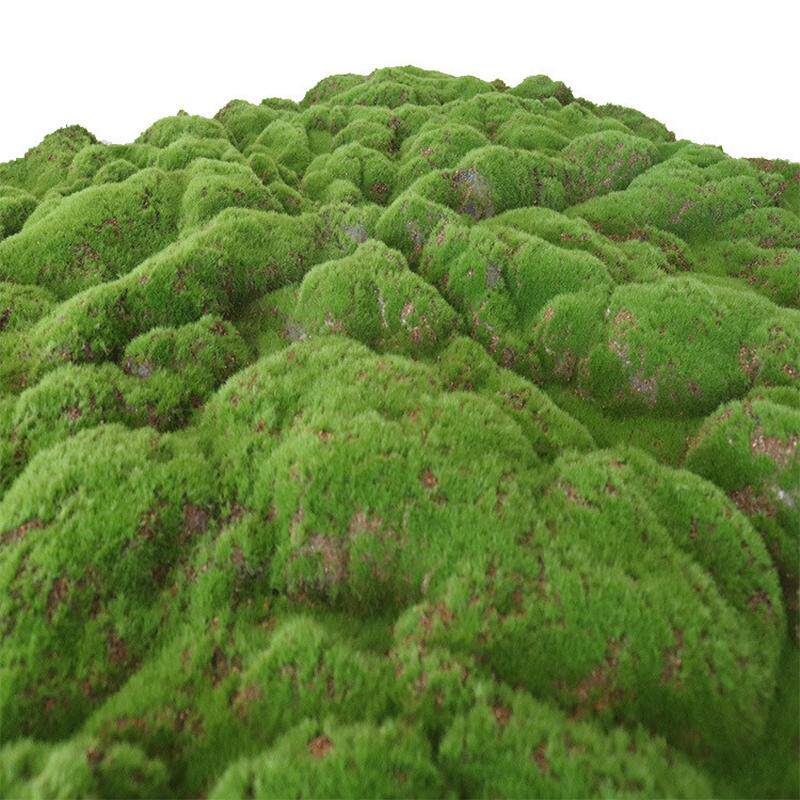 仿真青苔鼓包绿色大草皮苔藓草坪绿植墙微景观盆景相框造景装饰