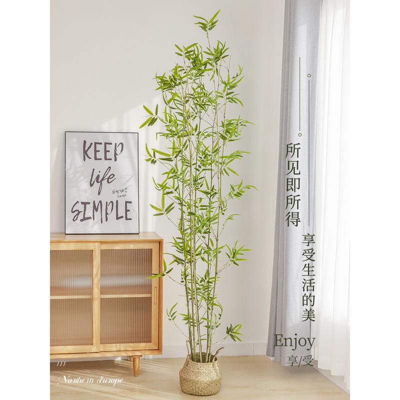 竹子室内装饰假竹子隔断屏风挡墙造景室外盆栽竹装饰加密绿植