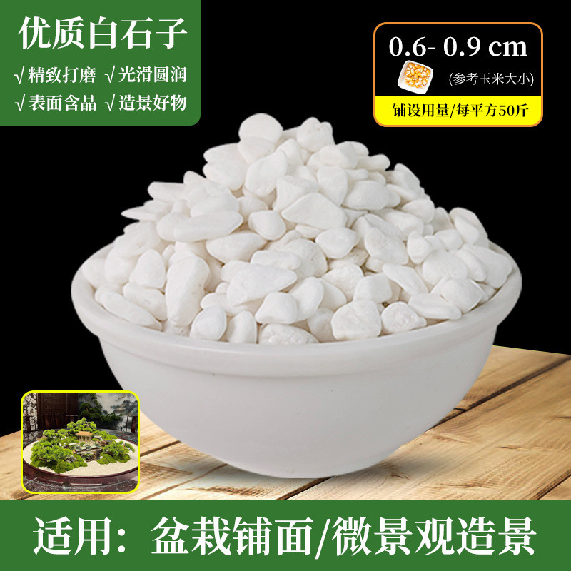 白色石子园林鹅卵石南京湖北厂家雪花白砾石铺路雨花石碎石水洗石