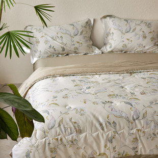 热销新品 被子四 a类李官奇大豆可被芯春秋裸睡可水洗无需套被套