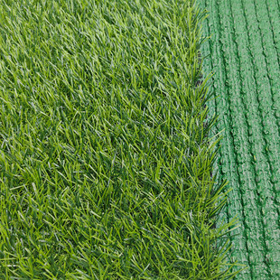 仿真草坪幼儿园垫子人工草人造塑料草皮户外阳台市政工程装饰草地