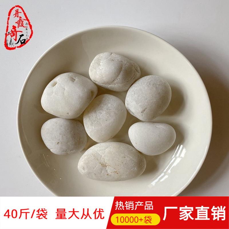 【月销万吨】广州普用酸洗白色鹅卵石a级园林工程铺面足底按摩抛