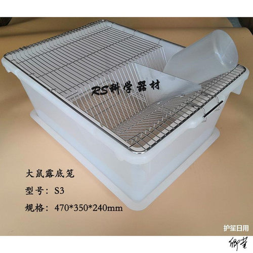 实验鼠笼小学实验室观察仓鼠生物大学饲养小白鼠实验