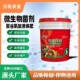 代工生根微生物菌剂聚谷氨酸液体肥瓜果蔬菜定制膨果桶肥冲施肥