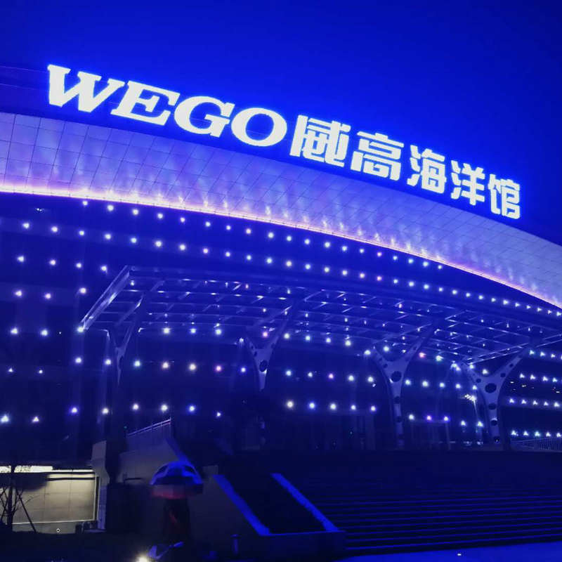 厂家供应霓虹灯不锈钢门牌字发光铝壳字烤漆立体标识标牌制作