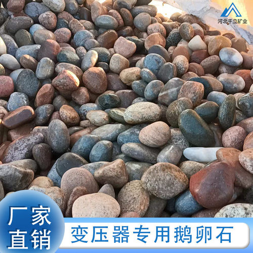 变压器专用鹅卵石基建卵石过滤园林造景鱼缸铺底彩色铺路厂家供应