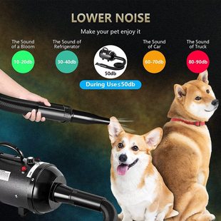 宠物吹风机大中小型犬家用狗猫咪用品狗狗专用烘干毛吹吹水机
