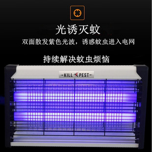 灭蚊灯led家用诱灭蝇器餐厅驱蚊灯电蚊拍防蚊养殖场苍蝇诱灭器