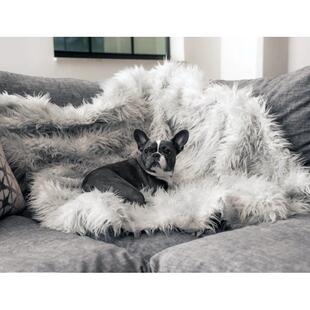 shopify保暖款白色垫子hot冬季厚款狗狗爆垫高端宠物垫代发
