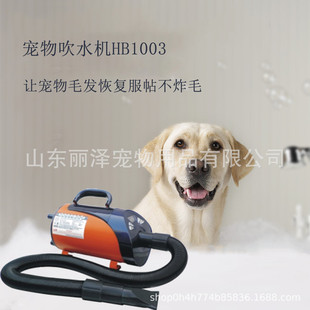 宠物液晶屏吹水机狗狗猫咪吹风机供货 丽泽新款