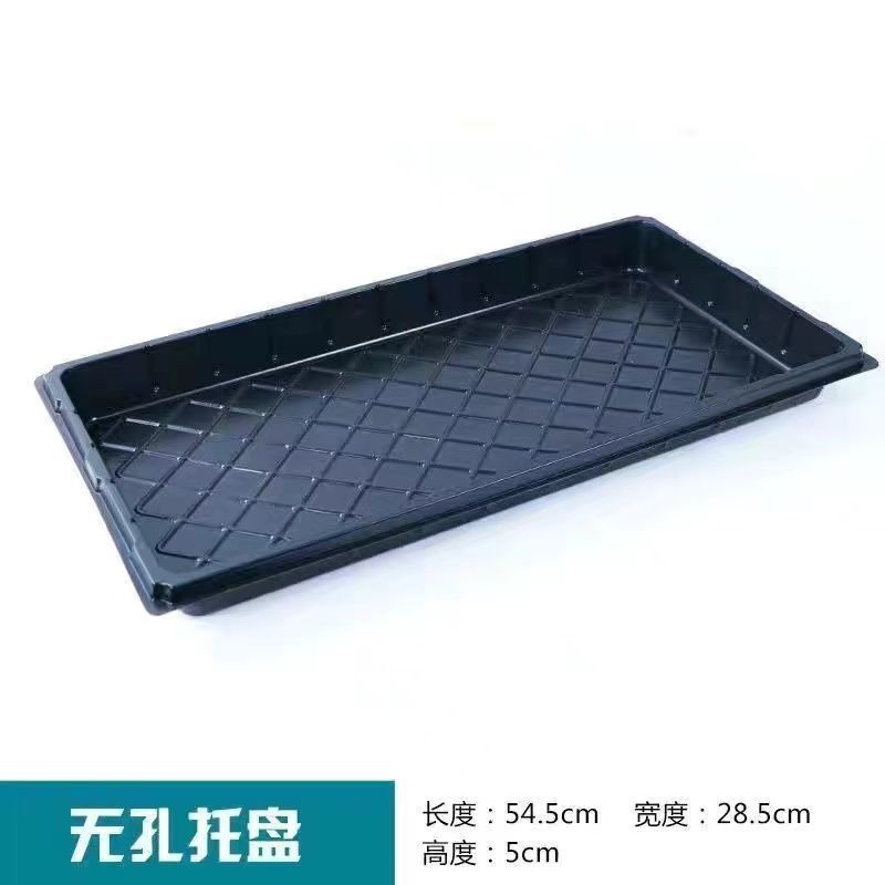 育苗盘加厚穴多肉托盘育秧盘加深培育盘西红柿辣椒玉米育种扦插盘
