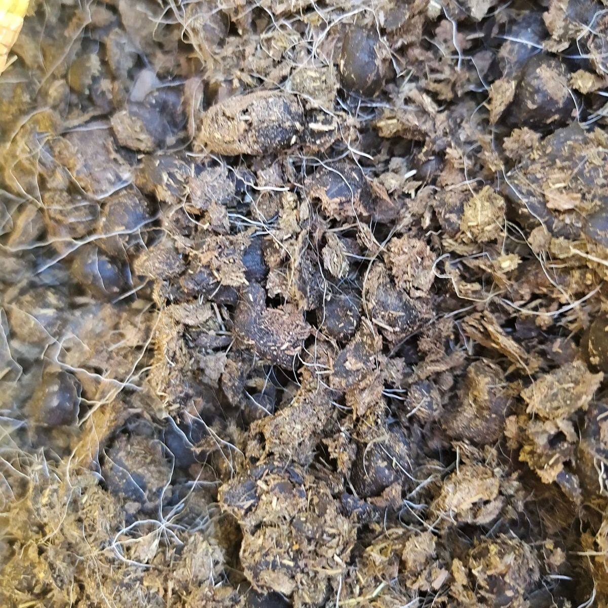 纯羊粪发酵有机肥料营养土养花果树种菜大包装批发腐熟农家肥厂家