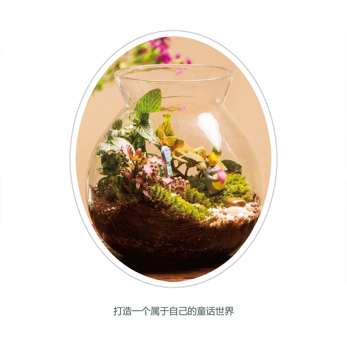 苔藓微景观创意礼品摆件绿植苔藓瓶造景瓶木塞套装带灯批发