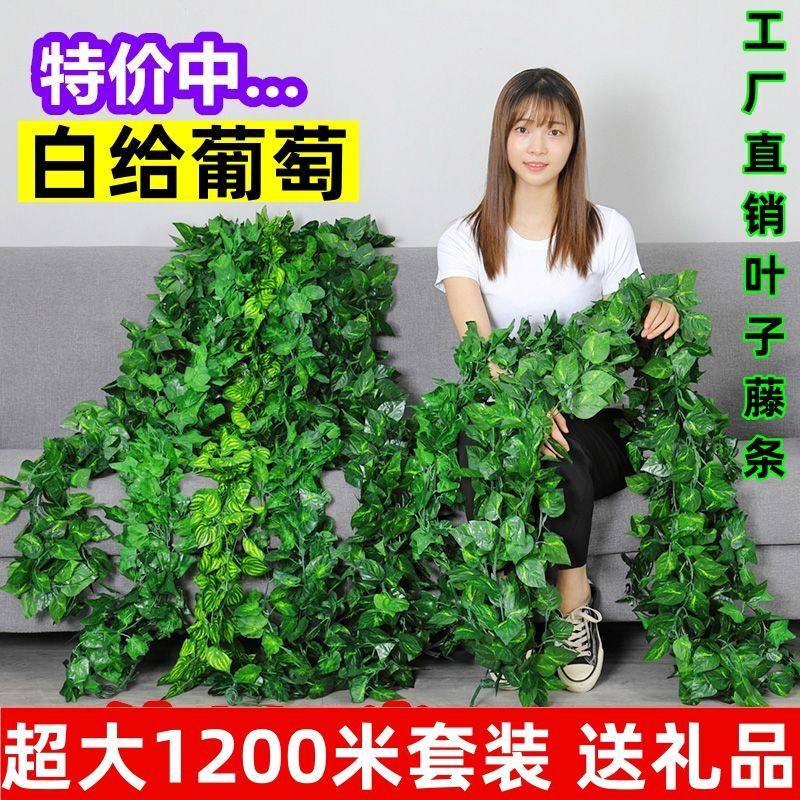 仿真葡萄叶爬山虎植物藤条绿萝藤蔓装饰管道吊顶绿叶管道塑料假花