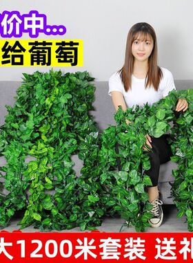 仿真葡萄叶爬山虎植物藤条绿萝藤蔓装饰管道吊顶绿叶管道塑料假花